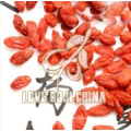 Norme UE Ningxia Goji Berry avec faible teneur en sucre